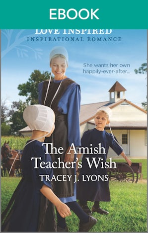 The Amish Teacher's Wish
