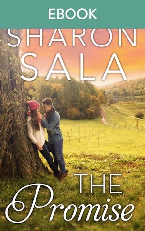 The Promise (novella)