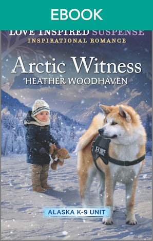 Arctic Witness