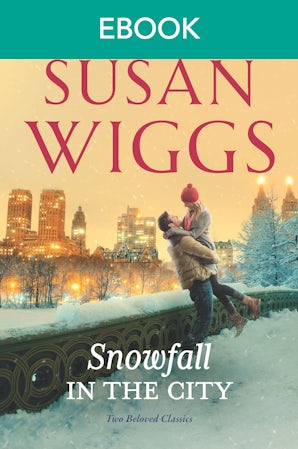 Snowfall in the City