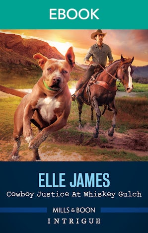 Cowboy Justice at Whiskey Gulch