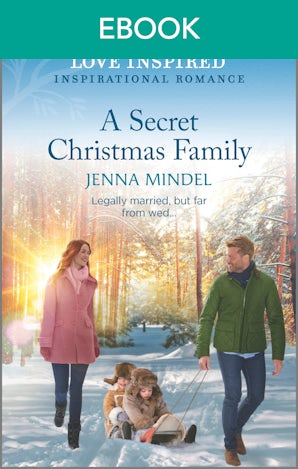 A Secret Christmas Family