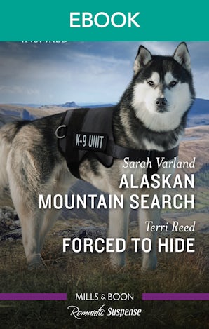Alaskan Mountain Search/Forced to Hide