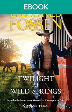 Twilight at Wild Springs