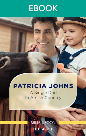 A Single Dad in Amish Country