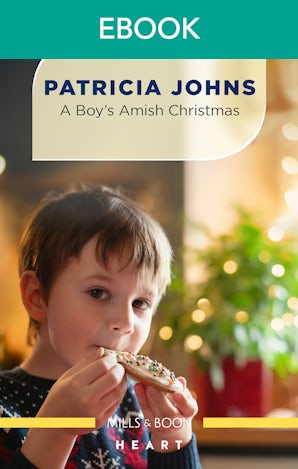 A Boy's Amish Christmas