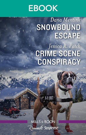 Snowbound Escape/Crime Scene Conspiracy